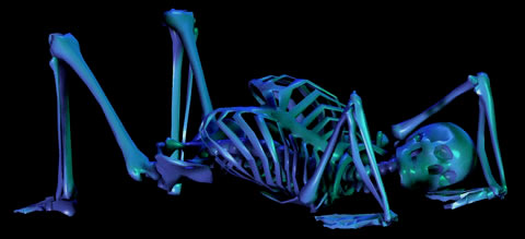 Bridge skeleton copyright Pete Binns