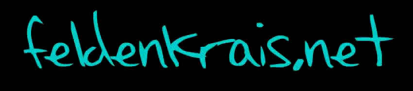 feldenkrais dot Net