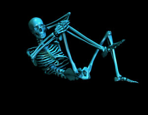 flexion skeleton copyright Pete Binns